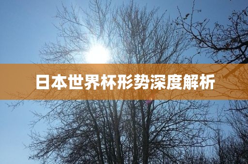 日本世界杯形势深度解析吉安市靖泰电力工程有限公司