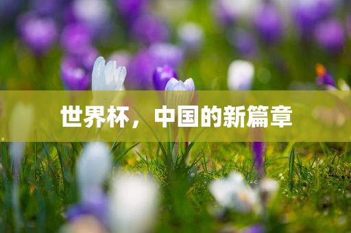 世界杯，中国的新篇章
