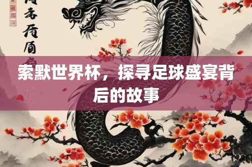 索默世界杯，探寻足球盛宴背后的故事