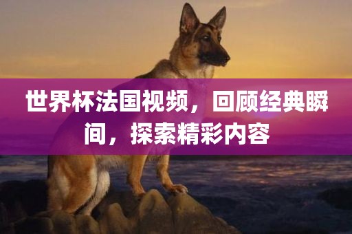 世界杯法国视频，回顾经典瞬间，探索精彩内容