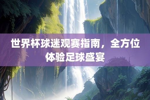世界杯球迷观赛指南，全方位体验足球盛宴