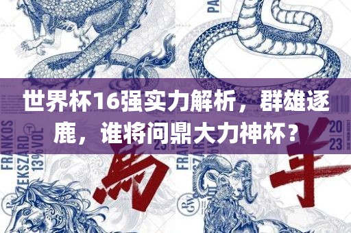世界杯16强实力解析，群雄逐鹿，谁将问鼎大力神杯？