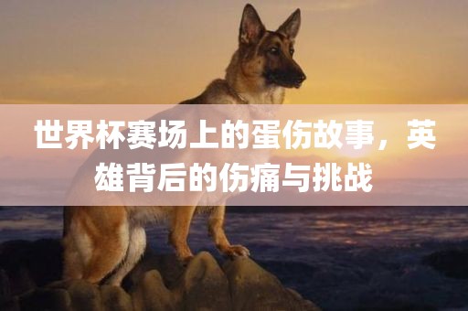 世界杯赛场上的蛋伤故事，英雄背后的伤痛与挑战