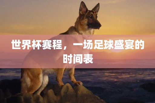 世界杯赛程，一场足球盛宴的时间表