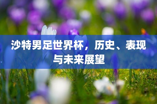沙特男足世界杯，历史、表现与未来展望