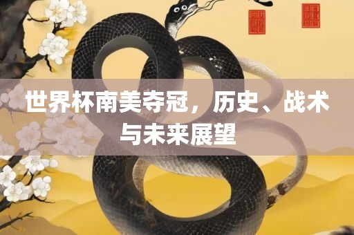 世界杯南美夺冠，历史、战术与未来展望