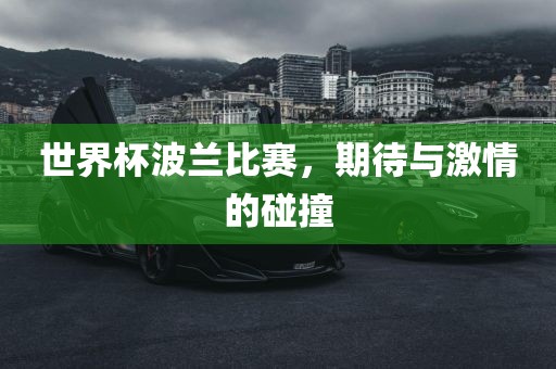 世界杯波兰比赛，期待与激情的碰撞