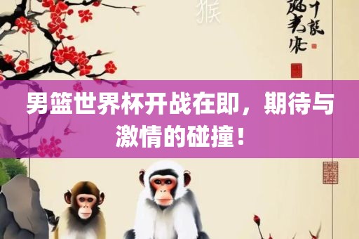 男篮世界杯开战在即，期待与激情的碰撞！