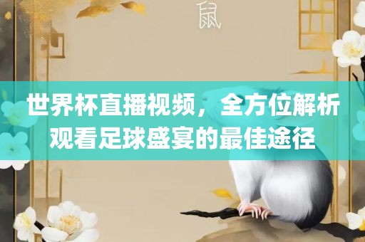 世界杯直播视频，全方位解析观看足球盛宴的最佳途径