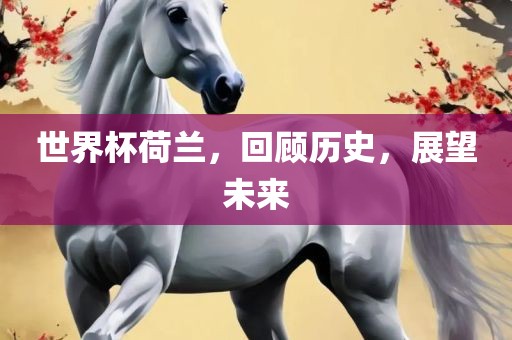 世界杯荷兰，回顾历史，展望未来