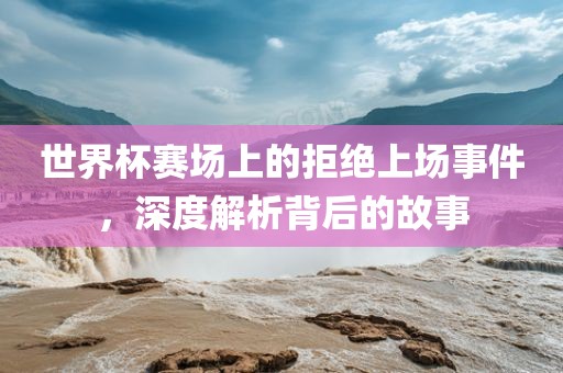 世界杯赛场上的拒绝上场事件，深度解析背后的故事