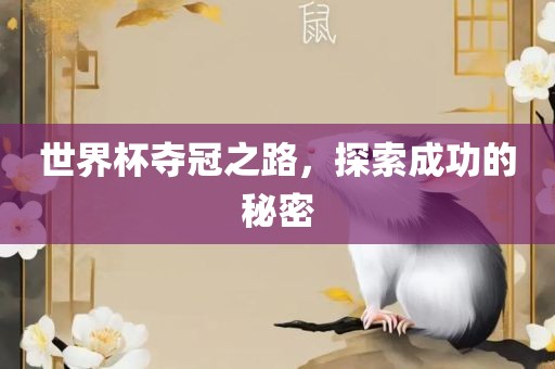 世界杯夺冠之路，探索成功的秘密