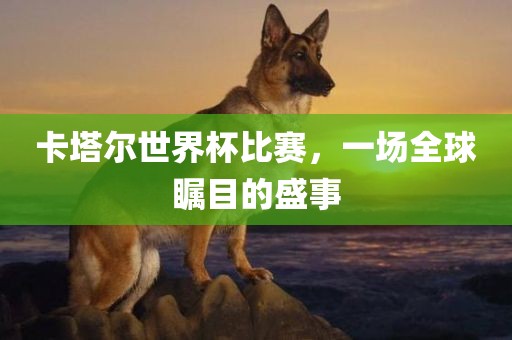 卡塔尔世界杯比赛，一场全球瞩目的盛事