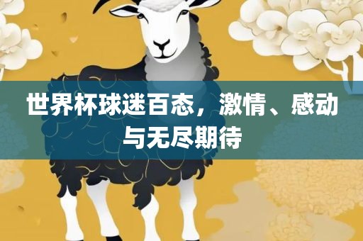 世界杯球迷百态，激情、感动与无尽期待