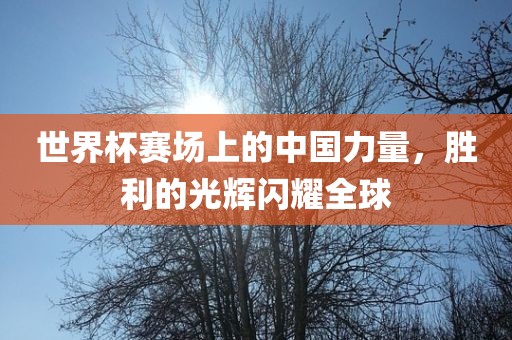 世界杯赛场上的中国力量，胜利的光辉闪耀全球