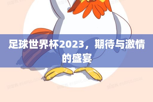 足球世界杯2023，期待与激情的盛宴