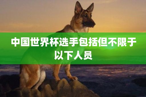 中国世界杯选手包括但不限于以下人员