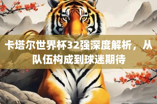 卡塔尔世界杯32强深度解析，从队伍构成到球迷期待