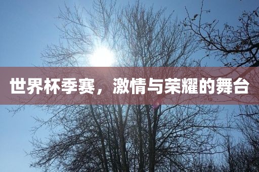 世界杯季赛，激情与荣耀的舞台