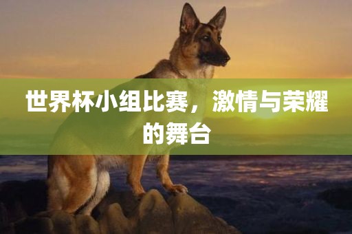世界杯小组比赛，激情与荣耀的舞台