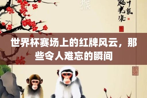 世界杯赛场上的红牌风云，那些令人难忘的瞬间