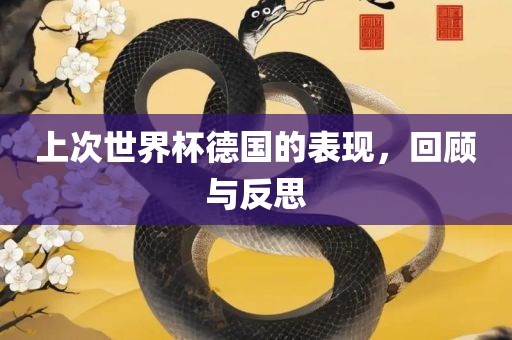 上次世界杯德国的表现，回顾与反思