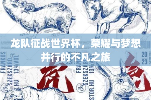 龙队征战世界杯，荣耀与梦想并行的不凡之旅