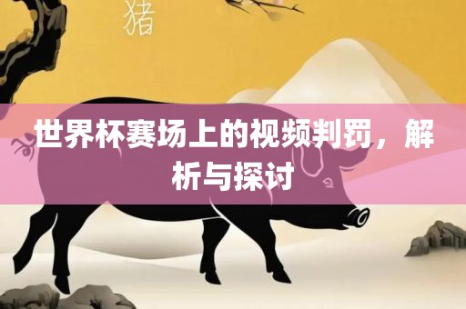 世界杯赛场上的视频判罚，解析与探讨