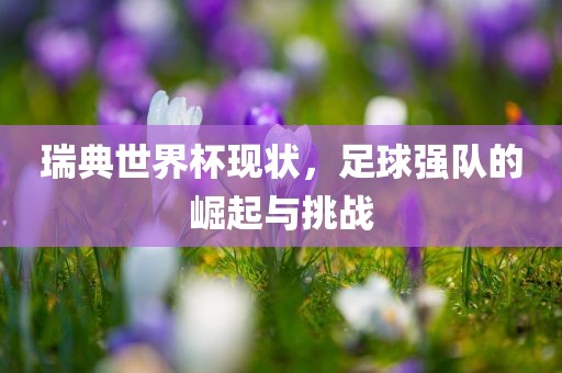 瑞典世界杯现状，足球强队的崛起与挑战