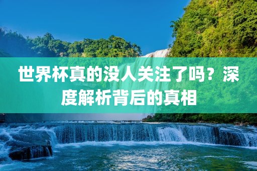 世界杯真的没人关注了吗？深度解析背后的真相