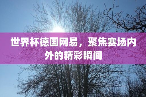 世界杯德国网易，聚焦赛场内外的精彩瞬间