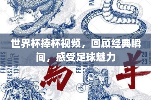 世界杯捧杯视频，回顾经典瞬间，感受足球魅力