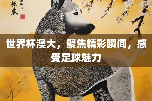 世界杯澳大，聚焦精彩瞬间，感受足球魅力