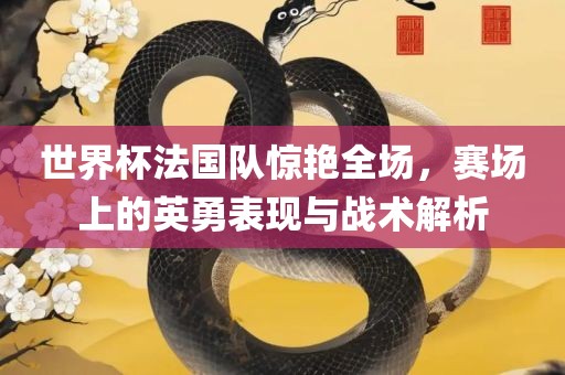 世界杯法国队惊艳全场，赛场上的英勇表现与战术解析