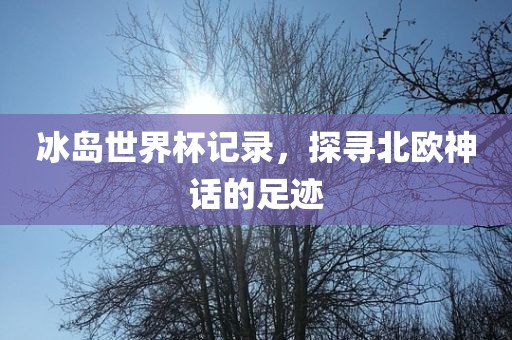 冰岛世界杯记录，探寻北欧神话的足迹
