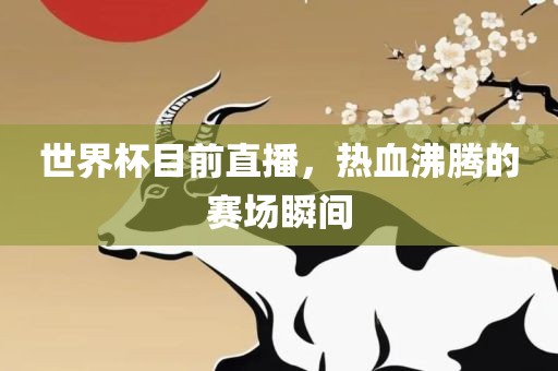 世界杯目前直播，热血沸腾的赛场瞬间吉安市靖泰电力工程有限公司