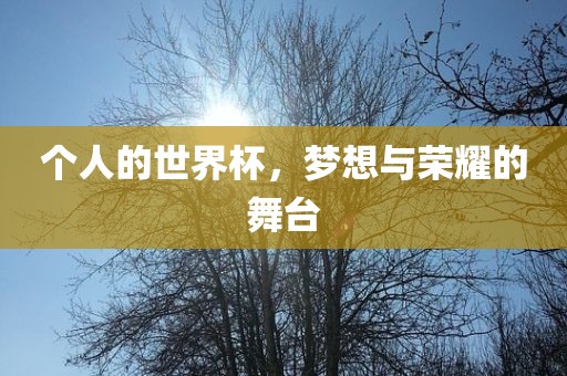 个人的世界杯，梦想与荣耀的舞台
