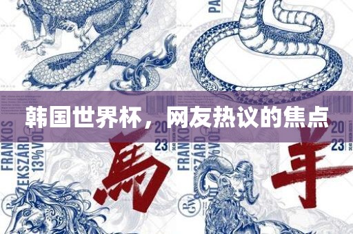 韩国世界杯，网友热议的焦点