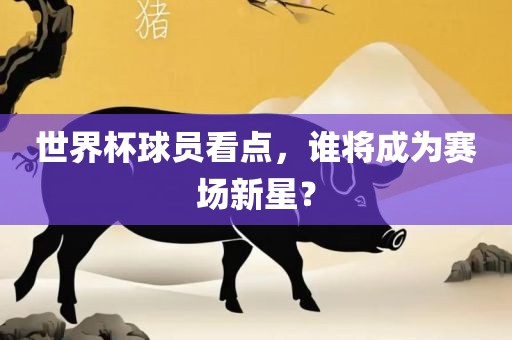 世界杯球员看点，谁将成为赛场新星？
