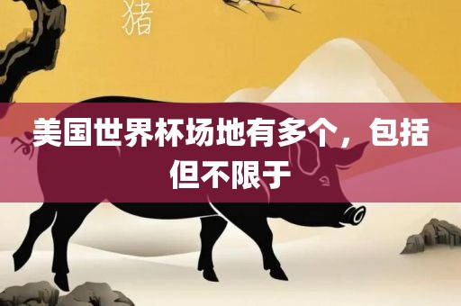 美国世界杯场地有多个，包括但不限于