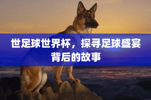 世足球世界杯，探寻足球盛宴背后的故事