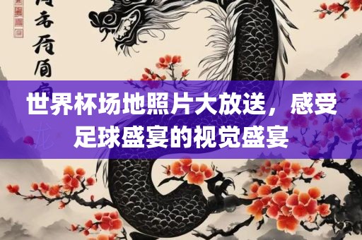世界杯场地照片大放送，感受足球盛宴的视觉盛宴