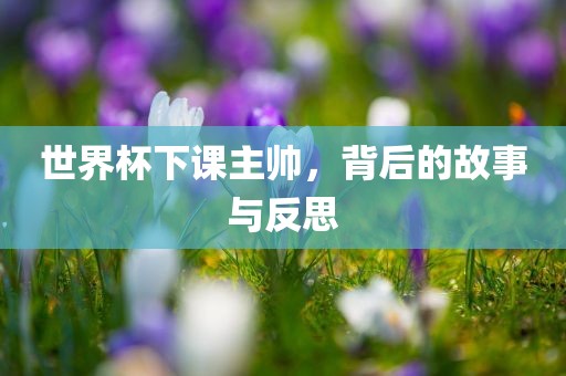 世界杯下课主帅，背后的故事与反思