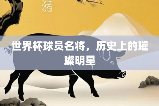 世界杯球员名将，历史上的璀璨明星