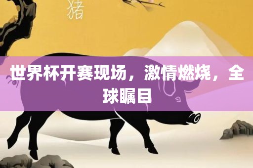 世界杯开赛现场，激情燃烧，全球瞩目