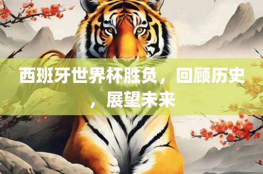 西班牙世界杯胜负，回顾历史，展望未来
