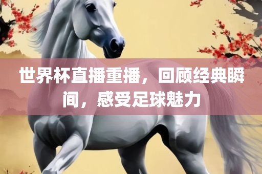 世界杯直播重播，回顾经典瞬间，感受足球魅力