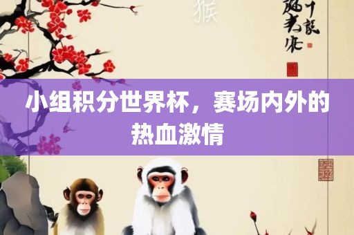 小组积分世界杯，赛场内外的热血激情