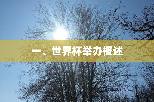 一、世界杯举吉安市靖泰电力工程有限公司办概述