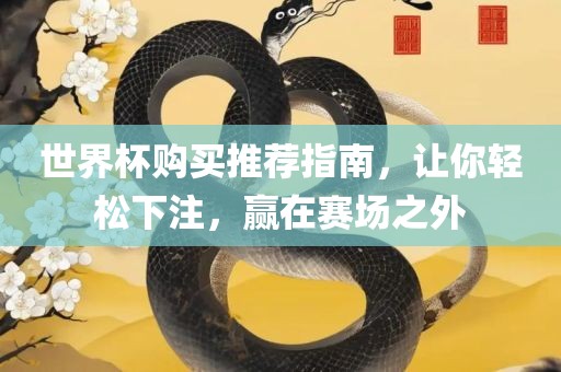 世界杯购买推荐指南，让你轻松下注，赢在赛场之外